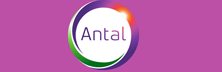 Antal International: Integrating Legacy with Extensive International Network to Carry Out Talent Search