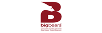 Big Bears: Creative Impressions That Last