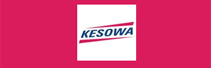 Kesowa: Drone Tech Startup Conducive to Innovation
