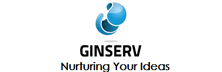 Global INcubation SERvices (GINSERV): The Startup Growth Enabler