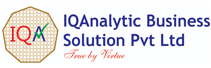 IQAnalytic Business Solution: A Comprehensive Provider of Customizable BGV Services 