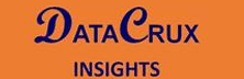 DataCrux Insights: Churning Data Insights into Business Values 