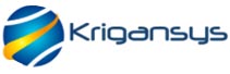 Krigansys Technologies: Tailoring Consulting Services for Simplified and Flawless Business Process