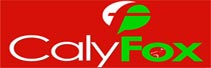 CalyFox: Your Complete Neighbourhood Store Delivering the Products with Care and Utmost Commitment