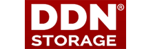 DDN Storage