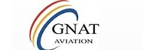 Gnat Aviation