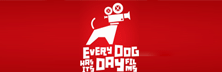 Every Dog Has Its Day Films