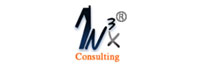 IN3X Consulting