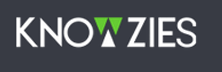 Knowzies Technology Solutions