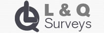 L & Q Surveys