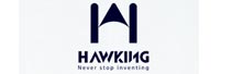 Hawking UAV
