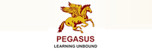 Pegasus Academy & Consulting