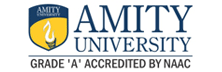 Amity University (Noida)