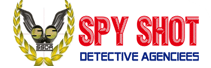 Spy Shot Detective Agency