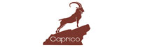 Caprico Facilities Services