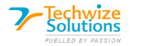 Techwize Solutions