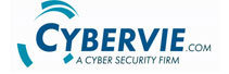  Cybervie