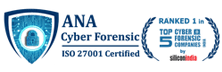 Ana Cyber Forensic