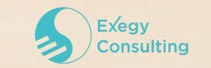 Exegy Consulting