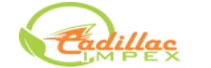 Cadillac Impex
