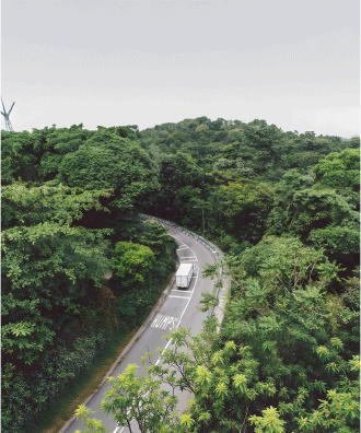 Green Is The Way To Sustainable Shipping Solutions