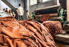 US Tariffs May Cut Indian Leather Revenue by 12% says Crisil