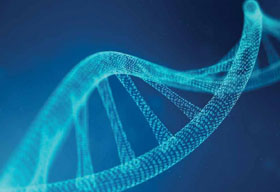 DNA Is The Future Of Data Storage