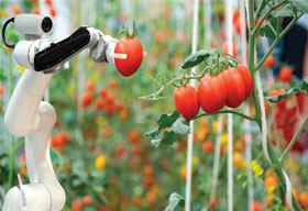 How Technology Is Driving The Food Industry