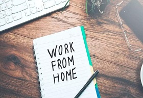 Commerce Ministry introduces rules for Work from Home