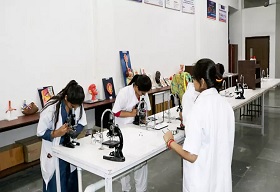 India to Integrate Ayurveda into School and College Health Curriculum