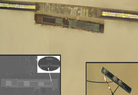  Anoop Varghese, Chief Operating Officer & Program Manager, Vasmed Health Sciences