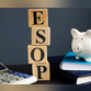 First Esop buybacks for Slice and Bizongo