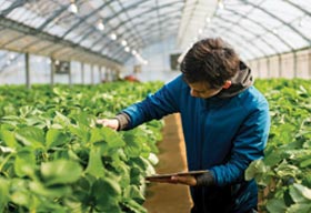 5 Reasons To Take-up A Career In Agriculture/ Food Science & Technology
