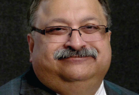 The Effect of Analog Coprocessors  on Digital Signal Processing