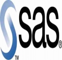 Sas Consultant