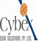 Cybex India