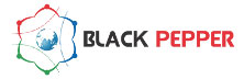 BlackPepper Technologies