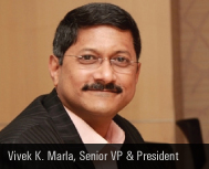 Ciber India: Bringing all the  IT Services  under one Banner