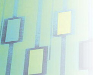 Agile Methodology When Processes Clash with Principles 