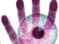 Biometric, the new metric in passports