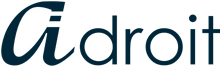 iAdroit, A division of Bantech Solutions