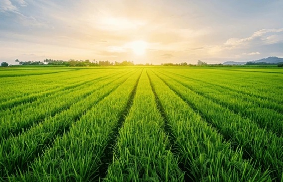 Crystal Crop Acquires Bayer's Herbicide Business