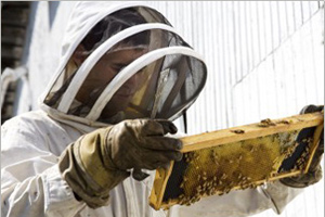 Leela Charan Dutta, the Inspiring Rural Entrepreneur from Assam