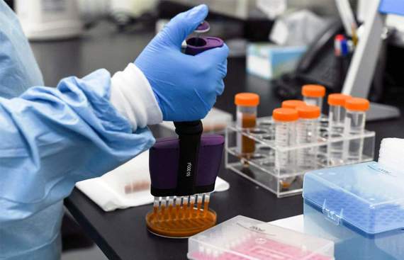 Morepen shares surge 11% on hiving off medical device business