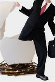 Incubation center, startup, hatching up