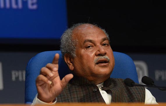 Foodgrain production rose over 18% in past 5 years: Tomar