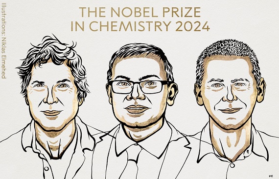 2024 Nobel Prize in Chemistry: Breakthroughs in Protein Design and Structure Prediction