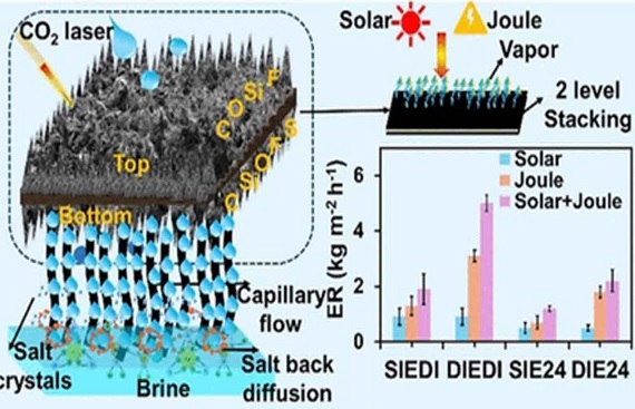 IIT Bombay Develops Lotus Leaf-Like Solar Evaporators for Sustainable Desalination