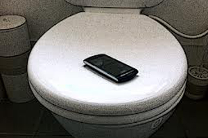 toilet seat