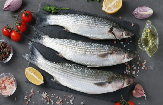 Seafood exports touch an all-time high of 17,35,286 million tonnes in 2022-23